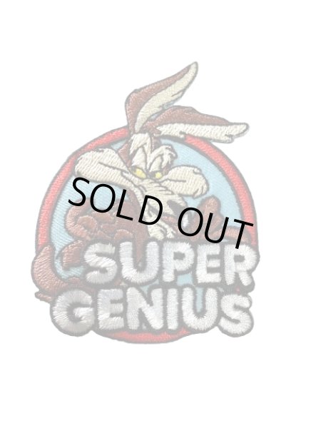 画像1: ワイリーコヨーテ|刺繍ワッペン６ (1)