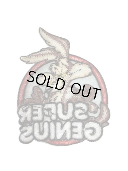 画像2: ワイリーコヨーテ|刺繍ワッペン６ (2)