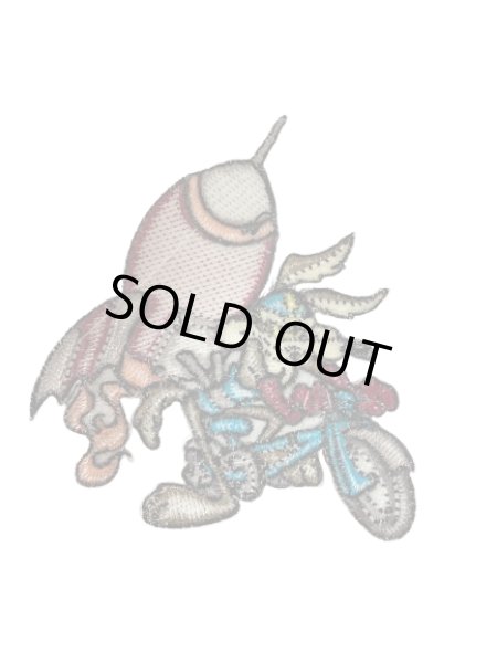 画像2: ワイリーコヨーテ|刺繍ワッペン８ (2)